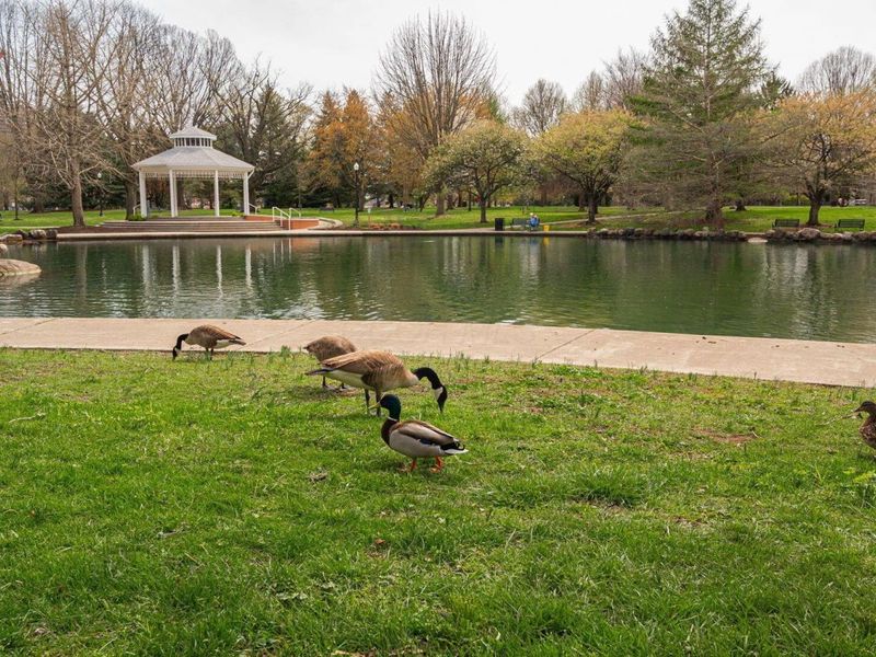 1145 N High Street , Unit 202, Columbus, OH 43201 Photo 37