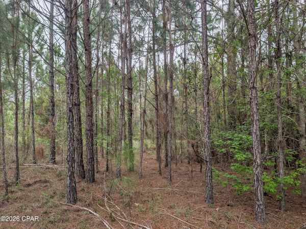 0 Sumac Road , Unit Lot 49, Westville, FL 32464