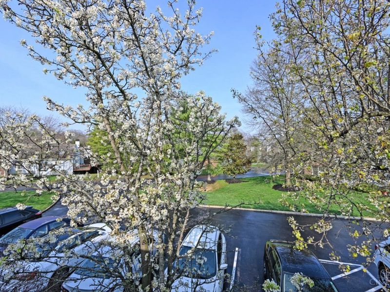 1080 Wittshire Lane, Unit E, Cincinnati, OH 45255 Photo 36