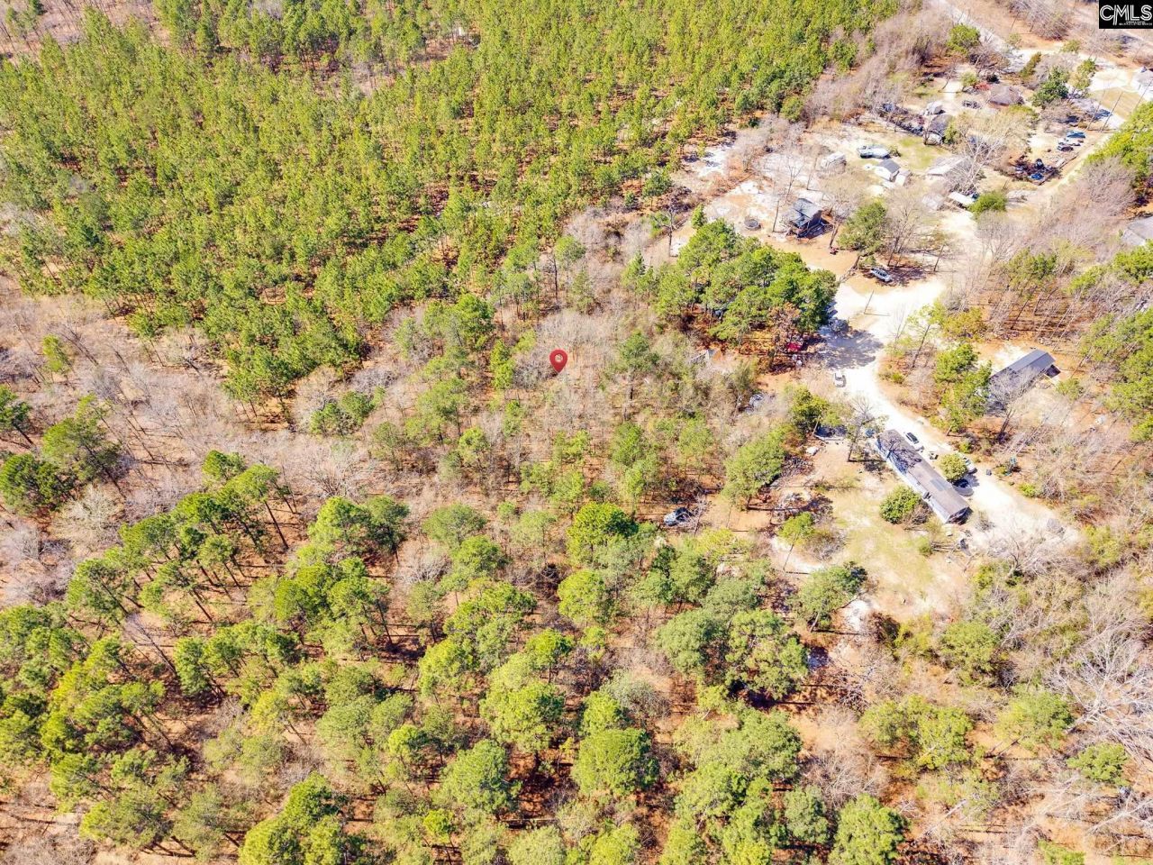 2023 Shirley Road  Photo 4