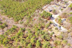 2023 Shirley Road  photo 4