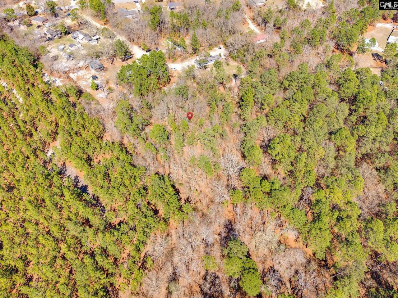 2023 Shirley Road  Photo 5