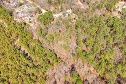 2023 Shirley Road  photo 4