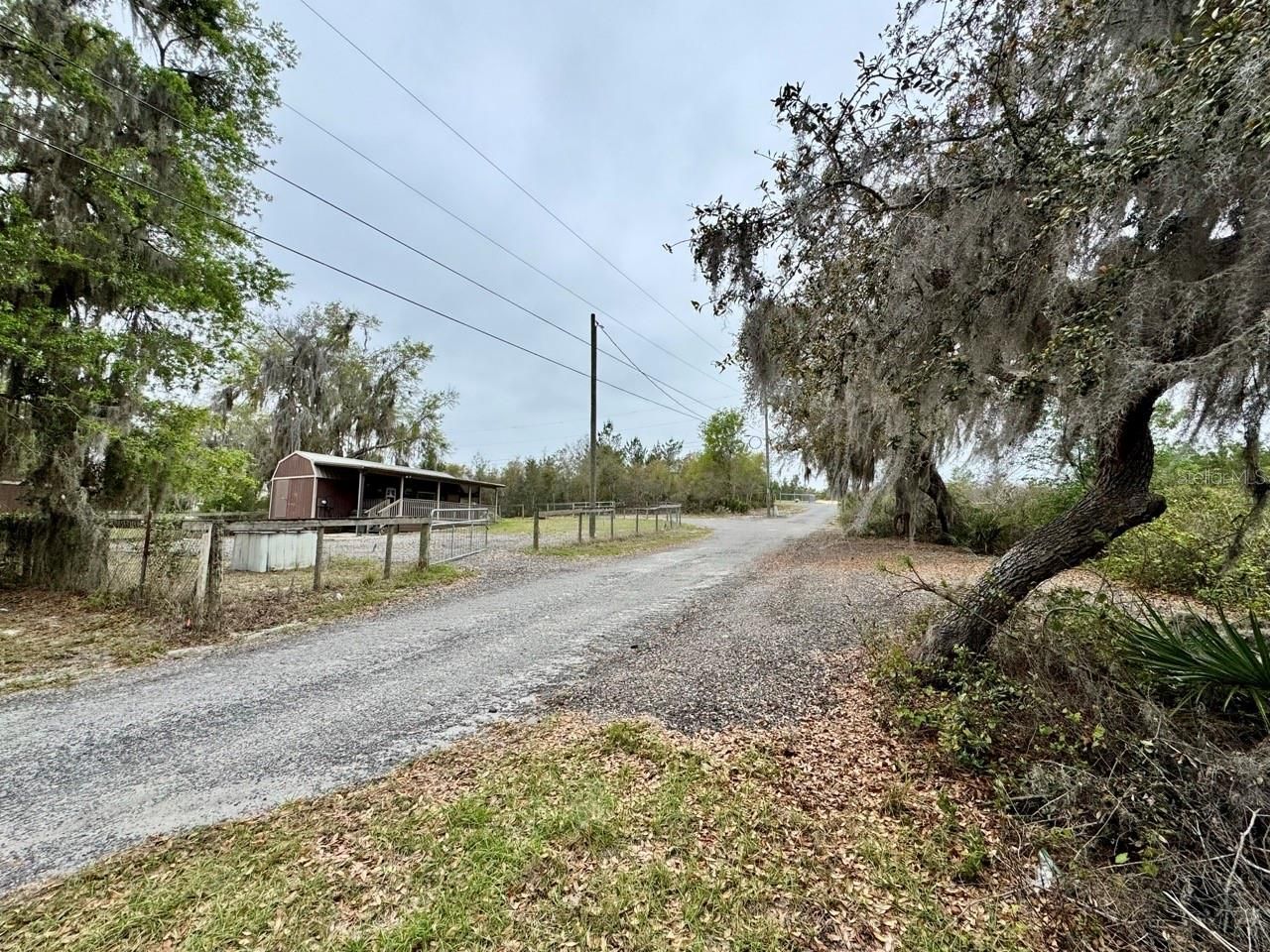 8671 NE 304th Terrace, Salt Springs, FL 32134 Photo