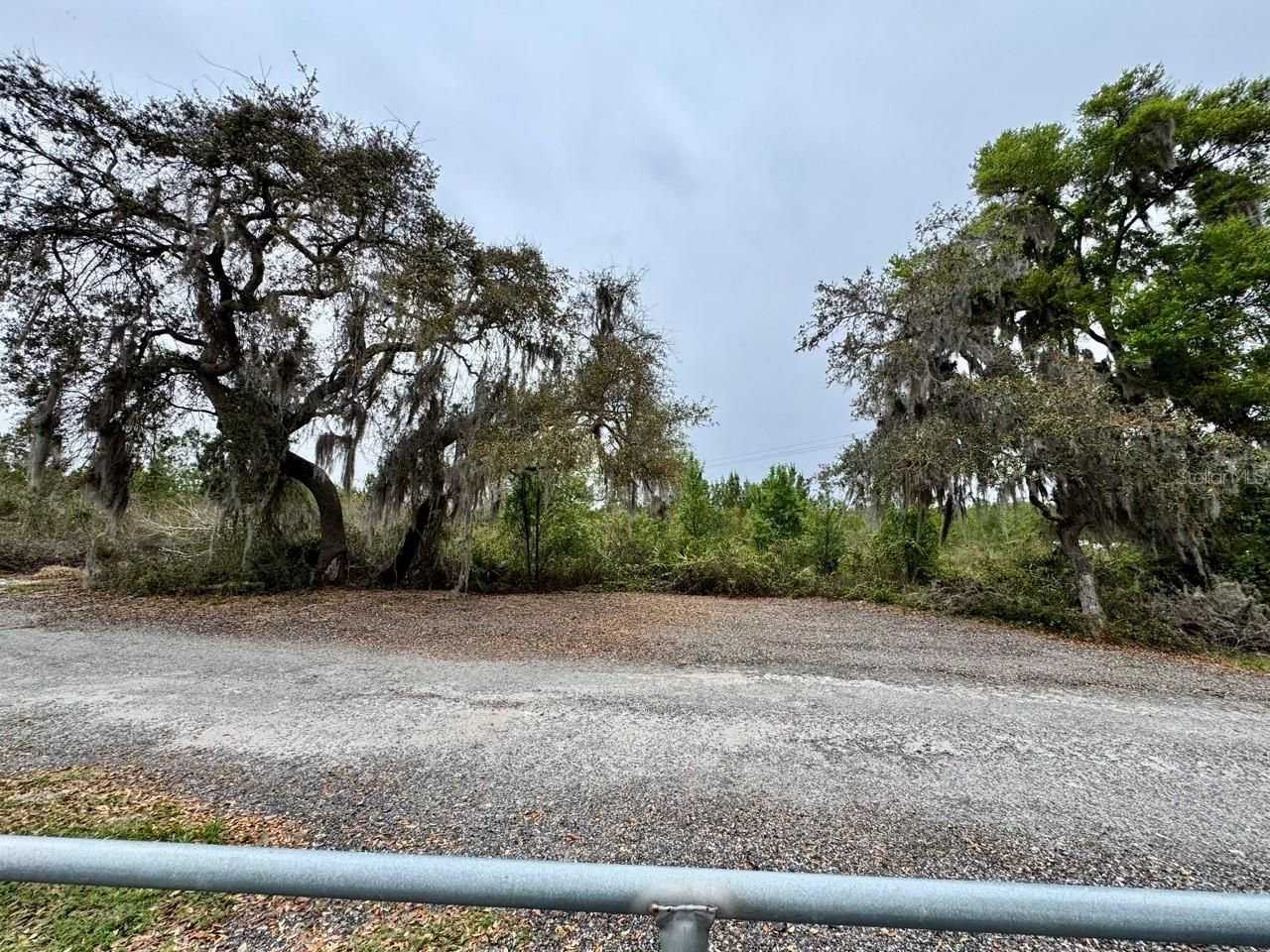 8671 NE 304th Terrace, Salt Springs, FL 32134 Photo