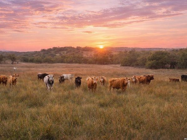 0 Limestone Hollow, Wimberley, TX 78676