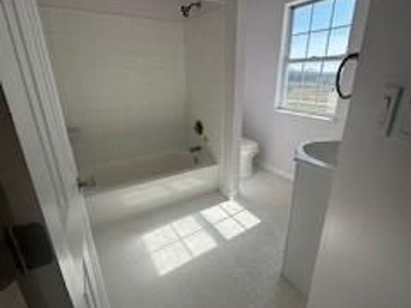 7629 Gooselick Road, Ripley, OH 45167 Photo 23