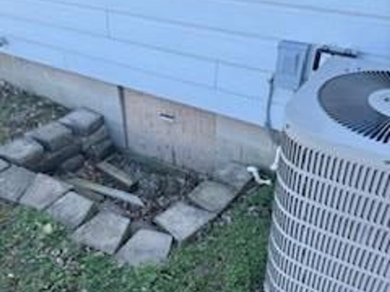 7629 Gooselick Road, Ripley, OH 45167 Photo 26