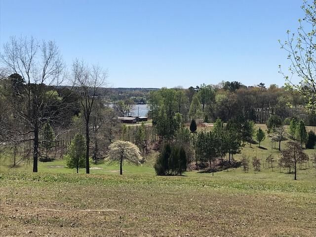 16653 N Star Circle, Sale Creek, TN 37373 Main Photo