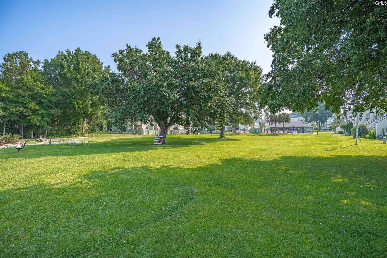 311 Dryden Lane  Photo 35