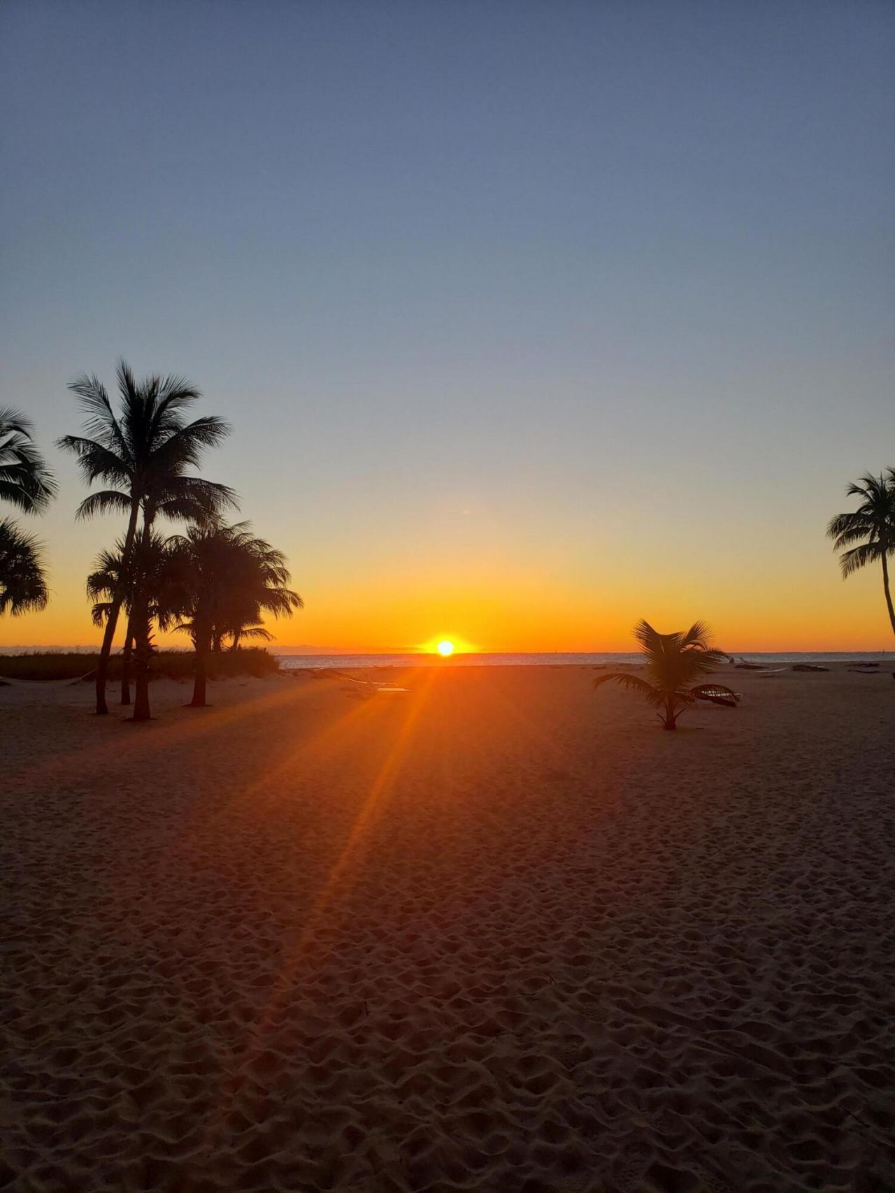 1566 S Ocean Lane, Unit 208, Fort Lauderdale, FL 33316 Photo