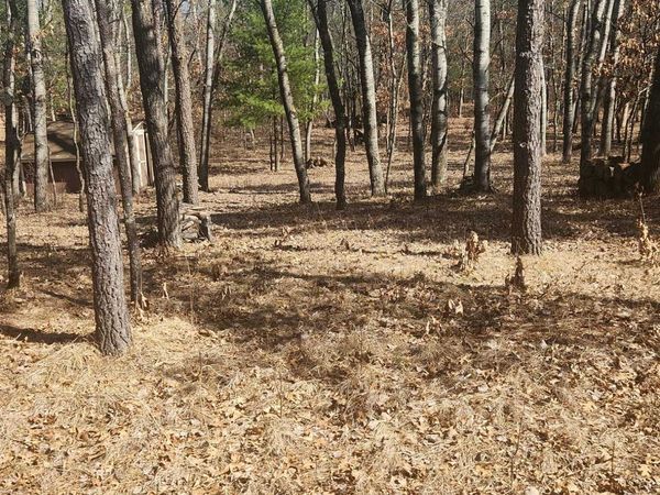 1584 Kingswood Trail, Nekoosa, WI 54457