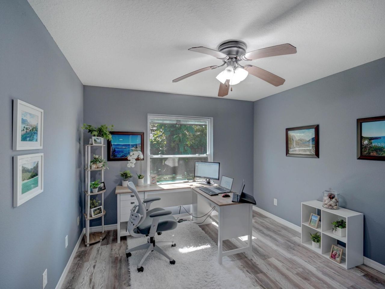 2988 Pinewood Run, Palm Harbor, FL 34684 Photo