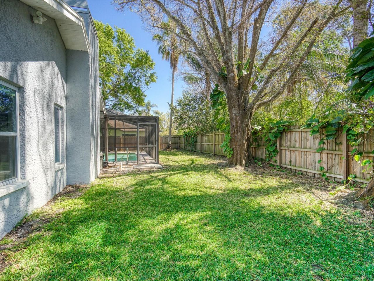 2988 Pinewood Run, Palm Harbor, FL 34684 Photo