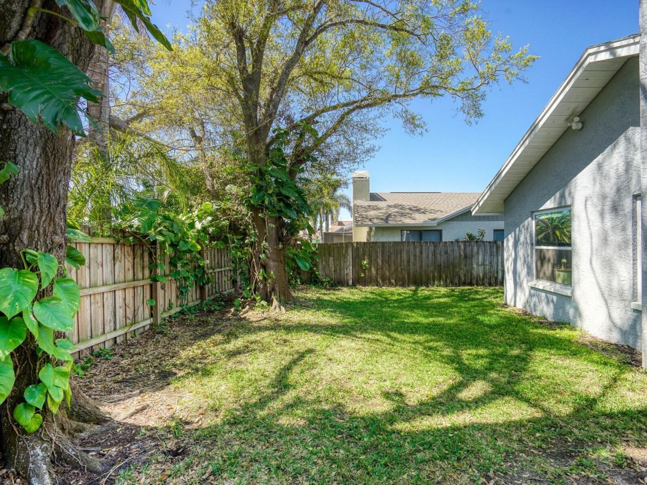 2988 Pinewood Run, Palm Harbor, FL 34684 Photo