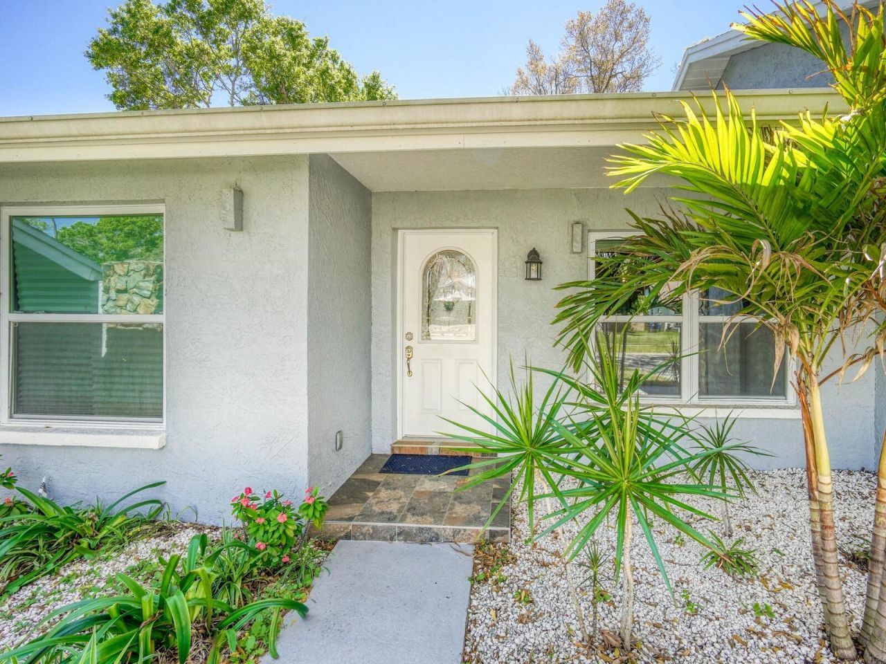 2988 Pinewood Run, Palm Harbor, FL 34684 Photo