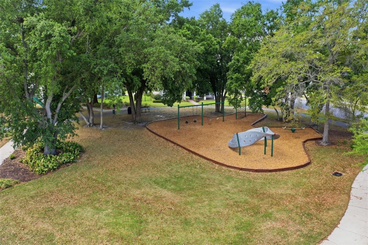 2117 Gopher Tortoise Terrace, Oakland, FL 34787 Photo