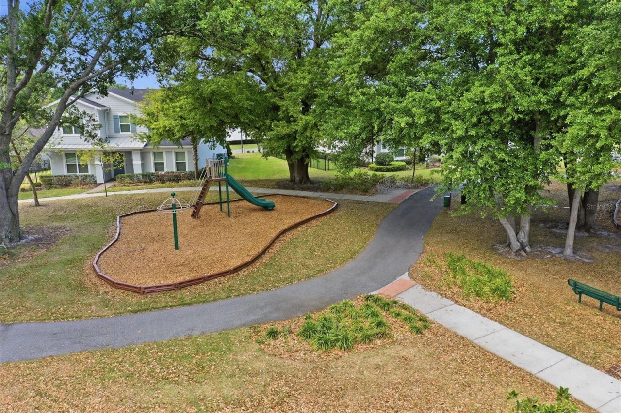 2117 Gopher Tortoise Terrace, Oakland, FL 34787 Photo