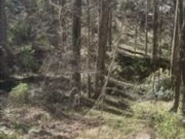 0 Jackson Road, Griffin, GA 30223