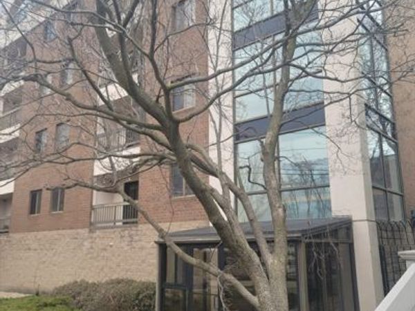 24 Corey St, Unit 201, Everett, MA 02149