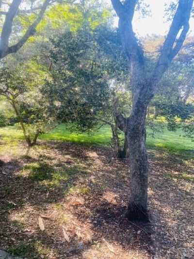 4296 Grove Park Lane, Boynton Beach, FL 33436 Photo