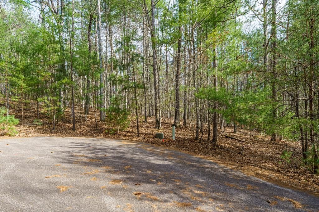 Lot 6 Hampton Road, Morganton, GA 30560 Main Photo