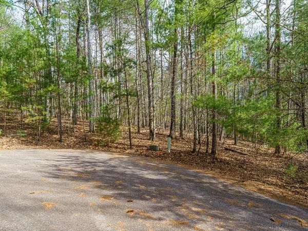 Lot 6 Hampton Road, Morganton, GA 30560
