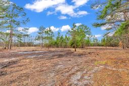 3930 Red Bluff Rd.  photo 4