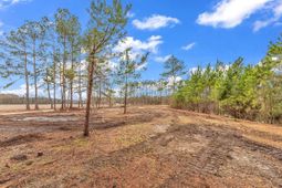 3930 Red Bluff Rd.  photo 4