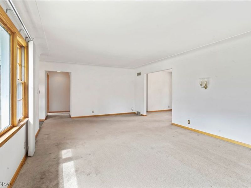 296 Moreland Drive, Canfield, OH 44406 Photo 5