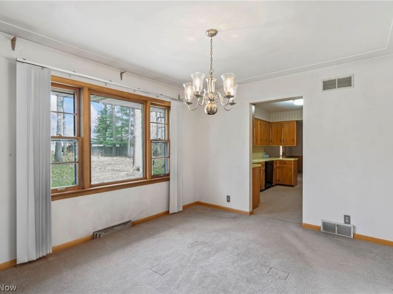 296 Moreland Drive, Canfield, OH 44406 Photo 9