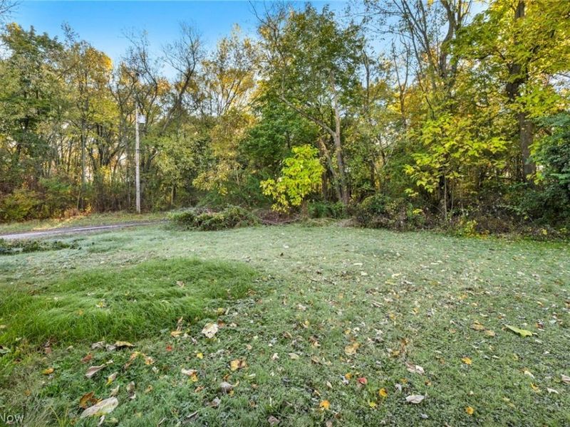 1245 Jersey Street, Alliance, OH 44601 Photo 37