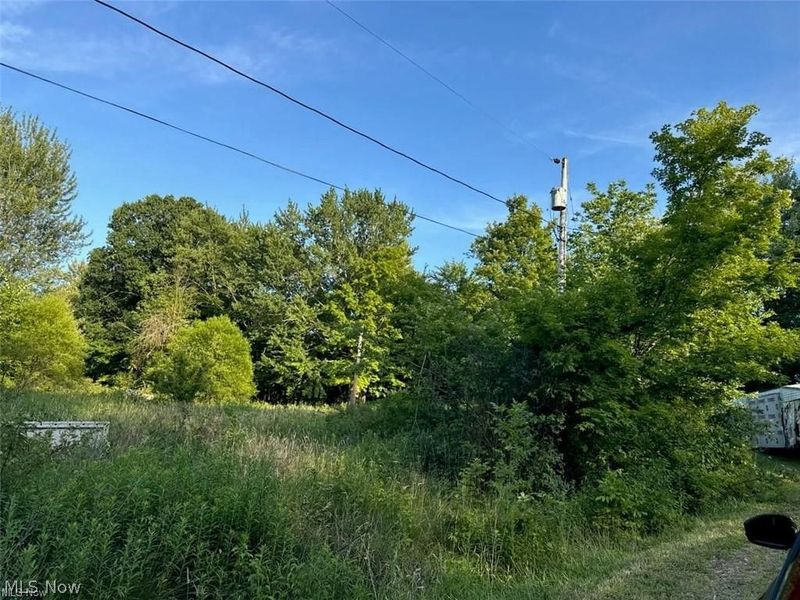 7425 Lisa Lane, Lisbon, OH 44432 Photo 4