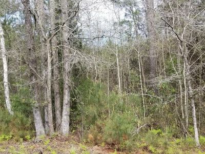 0 Randolph Drive, Smoaks, SC 29481