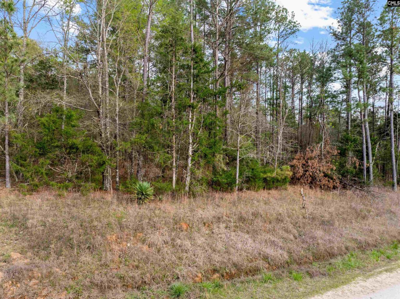 37 Sherrill Lane Photo 9