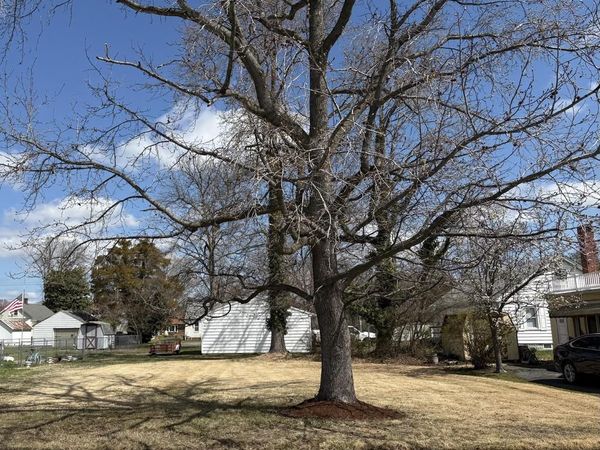 1101 HOLLAND AVENUE , CAMBRIDGE, MD 21613