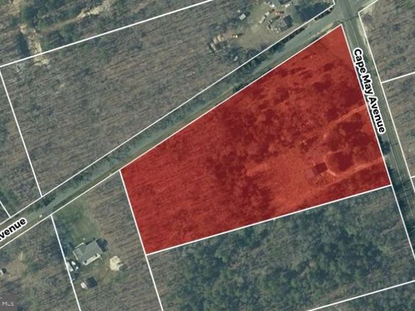 80 CAPE MAY AVENUE, DOROTHY, NJ 08317