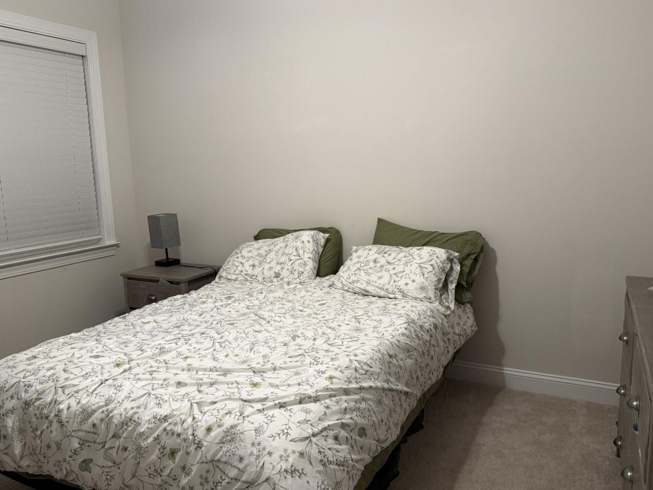 481 Spring Hollow Drive Photo 12