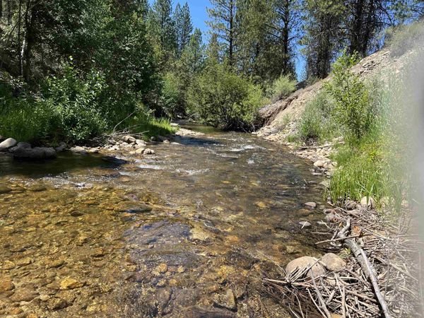 206 Lainey Ln., Idaho City, ID 83631
