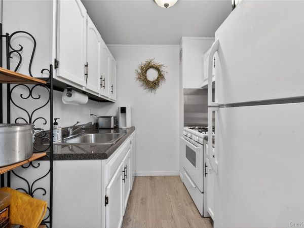 100 Clinton Avenue , Unit 3X, Mineola, NY 11501