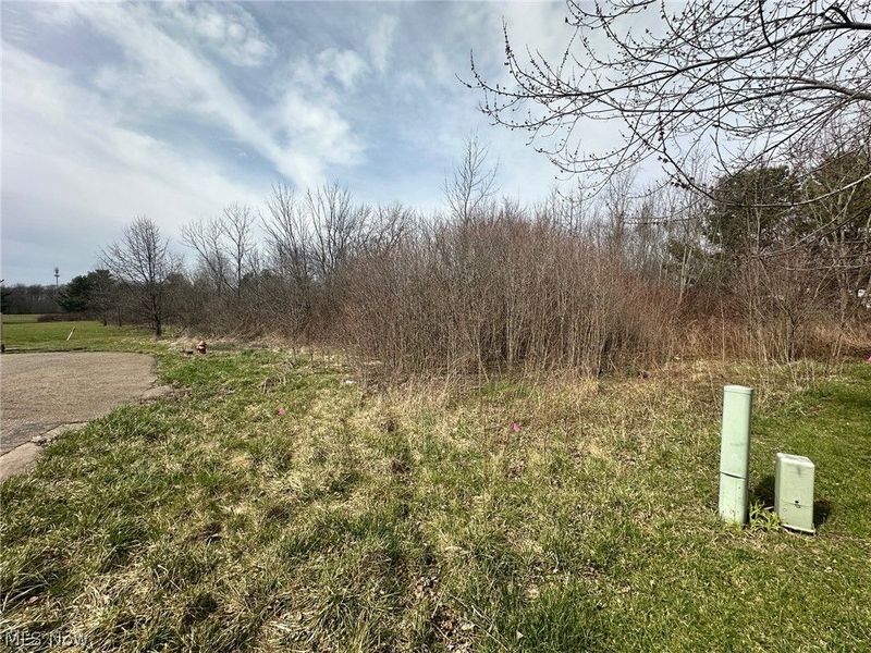 Westwood Avenue, Alliance, OH 44601 Photo 2