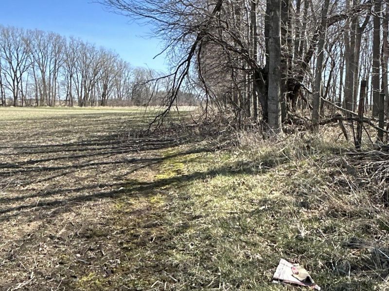 17785 Hengstler Road, Wapakoneta, OH 45895 Photo 13