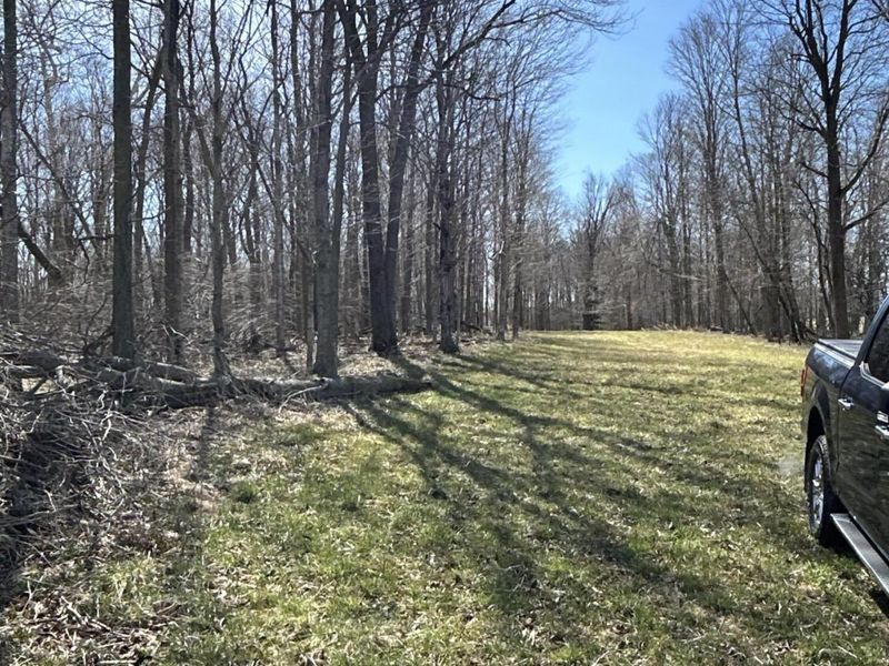 17785 Hengstler Road, Wapakoneta, OH 45895 Photo 14