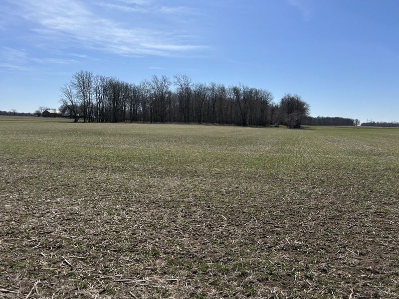 17785 Hengstler Road, Wapakoneta, OH 45895 Photo 17