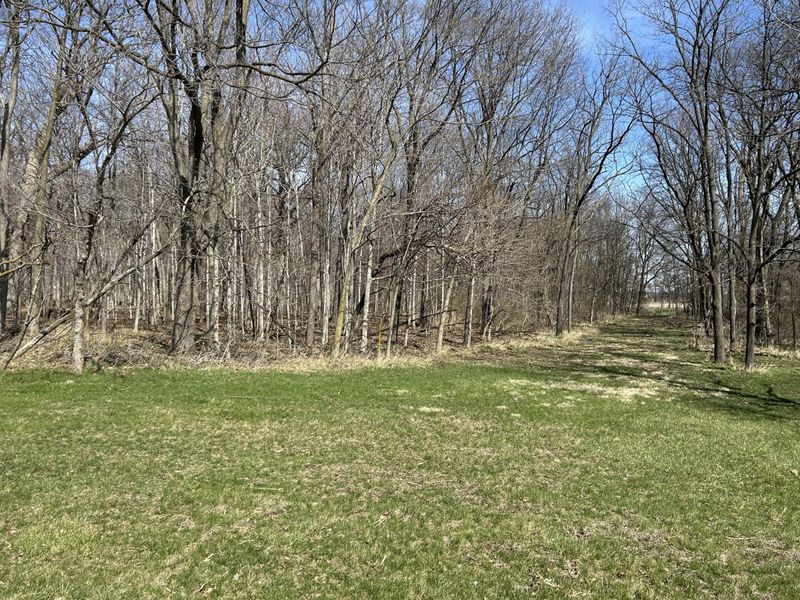 17785 Hengstler Road, Wapakoneta, OH 45895 Photo 6