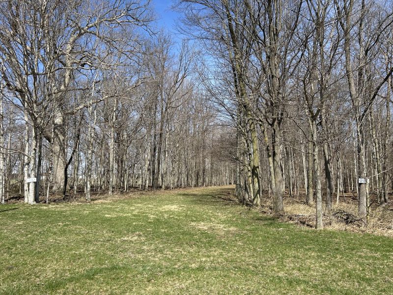 17785 Hengstler Road, Wapakoneta, OH 45895 Photo 8