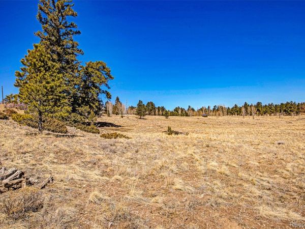 1250 Kaufman Road , Hartsel, CO 80449