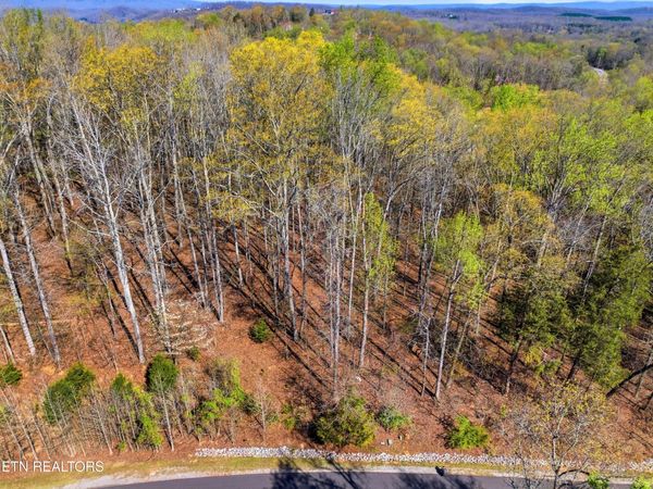 Lot 141 E Shore Drive, Rockwood, TN 37854