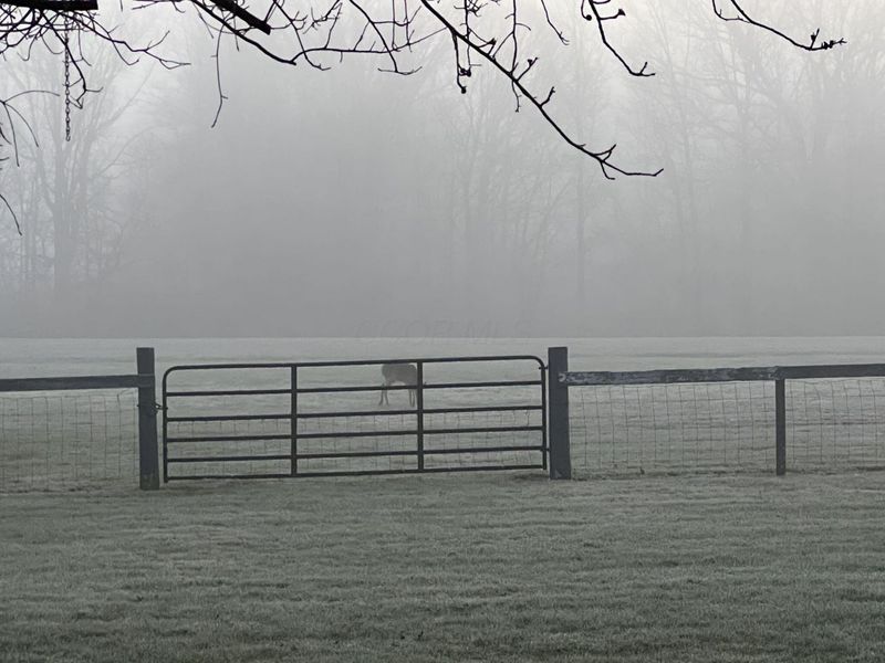 19150 West Darby Road, Marysville, OH 43040 Photo 119