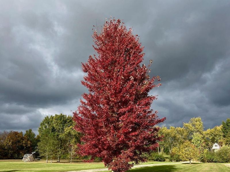 19150 West Darby Road, Marysville, OH 43040 Photo 121